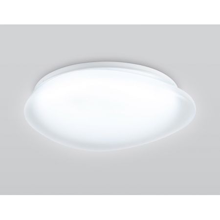 Накладной светильник Ambrella Light FZ1601