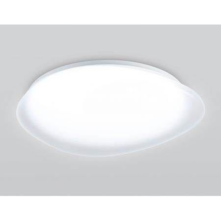 Накладной светильник Ambrella Light FZ1605
