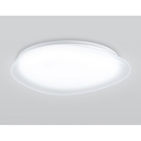 Накладной светильник Ambrella Light FZ1605