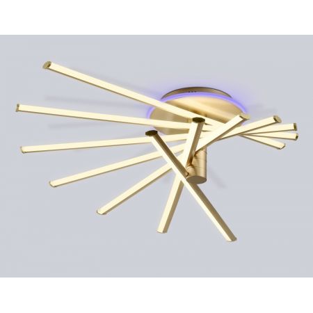 Накладной светильник Ambrella Light FL6244