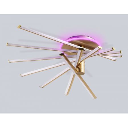 Накладной светильник Ambrella Light FL6244