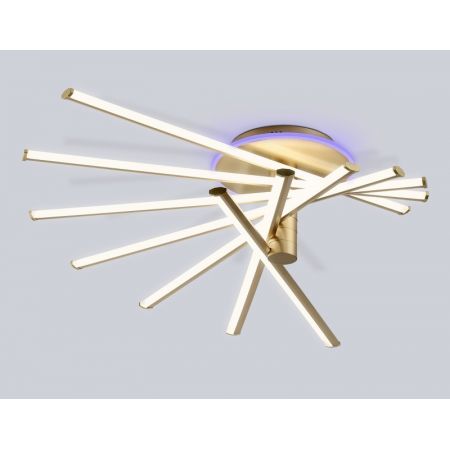 Накладной светильник Ambrella Light FL6244