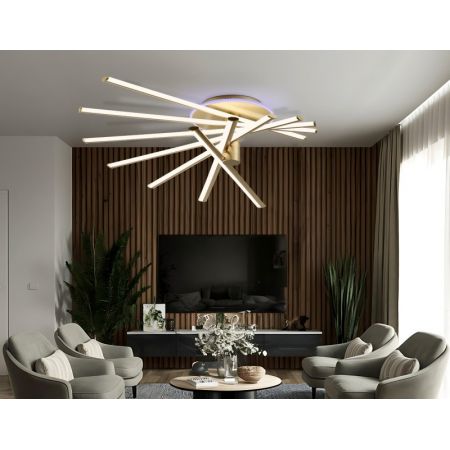Накладной светильник Ambrella Light FL6244