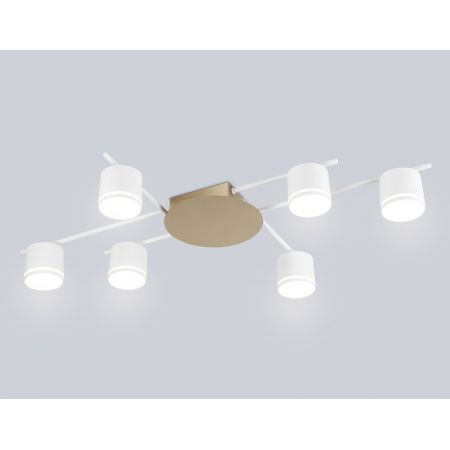 Накладной светильник Ambrella Light FL51755