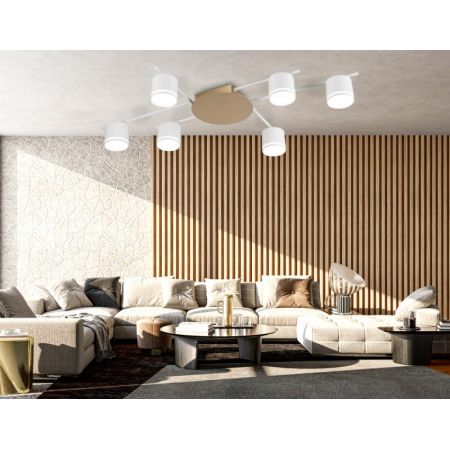 Накладной светильник Ambrella Light FL51755