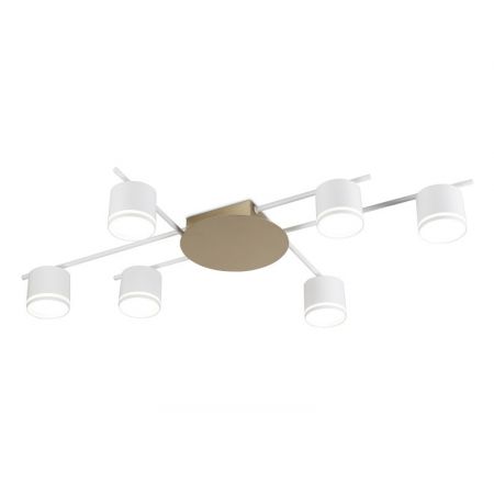 Накладной светильник Ambrella Light FL51755