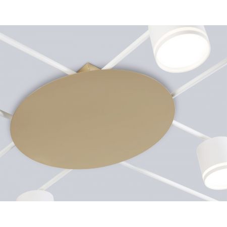 Накладной светильник Ambrella Light FL51759