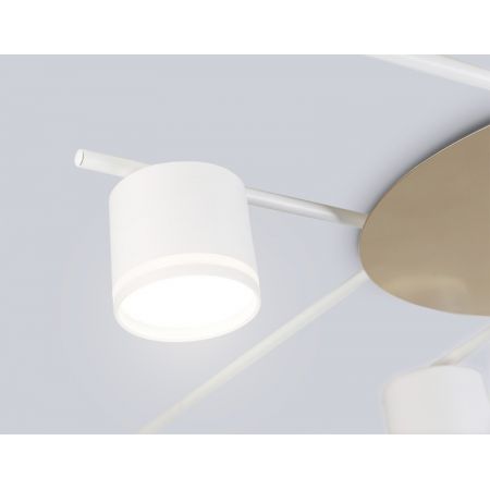 Накладной светильник Ambrella Light FL51759