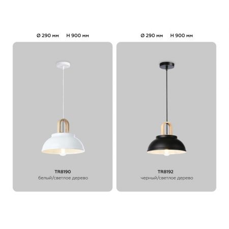 Подвесной светильник Ambrella Light TR8192