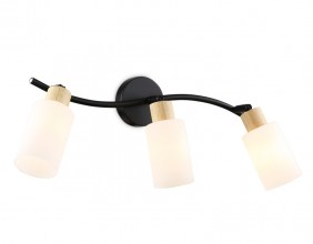 Спот Ambrella Light TR8722