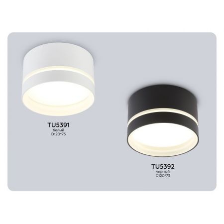 Влагозащищенный светильник Ambrella Light TU5392