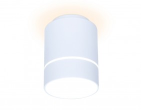 Накладной светильник Ambrella Light TN255