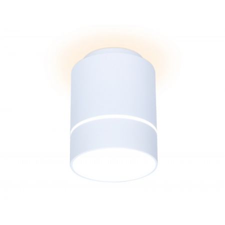 Накладной светильник Ambrella Light TN255