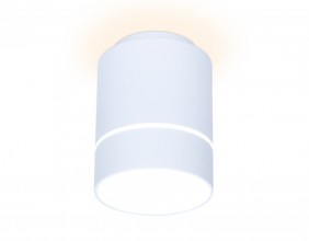 Накладной светильник Ambrella Light TN256