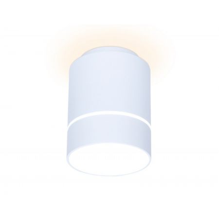 Накладной светильник Ambrella Light TN256