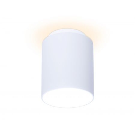 Накладной светильник Ambrella Light TN260