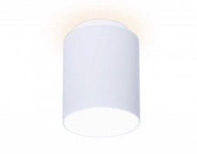 Накладной светильник Ambrella Light TN261
