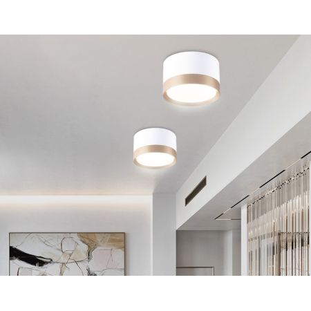 Накладной светильник Ambrella Light TN52355