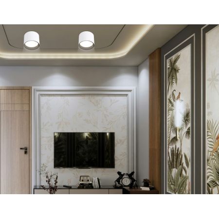 Накладной светильник Ambrella Light TN5303