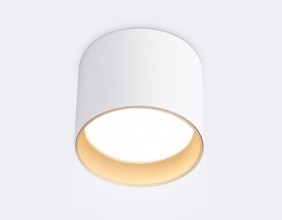 Накладной светильник Ambrella Light TN5304
