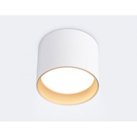 Накладной светильник Ambrella Light TN5304