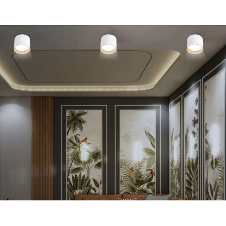 Накладной светильник Ambrella Light TN5304