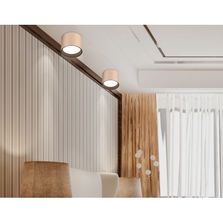 Накладной светильник Ambrella Light TN5305