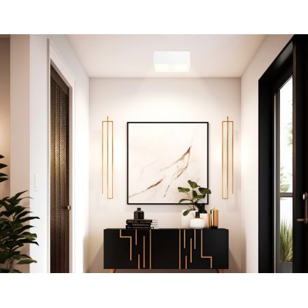 Накладной светильник Ambrella Light TN6534