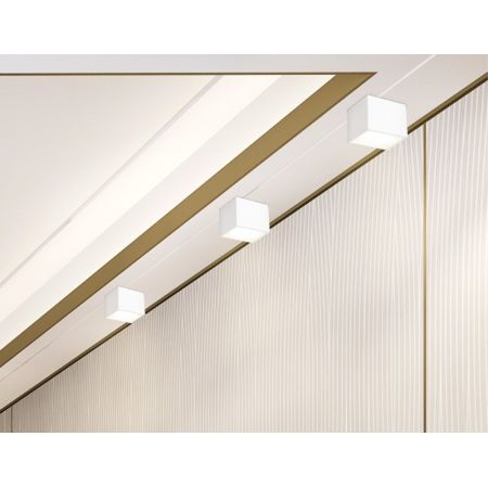 Накладной светильник Ambrella Light TN6530