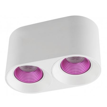 Накладной светильник Denkirs DK3096-WH+PI