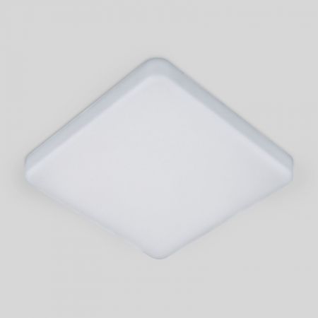 Накладной светильник Elektrostandard DLS043 10W 4200K