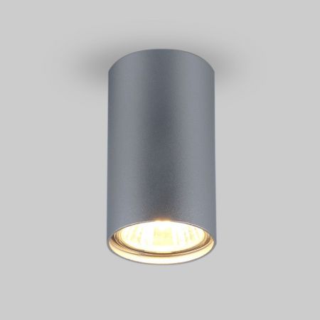 Накладной светильник Elektrostandard 1081 (5257) GU10 SL