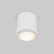 Накладной светильник Elektrostandard Cors 10W (25032/LED) белый/серебро