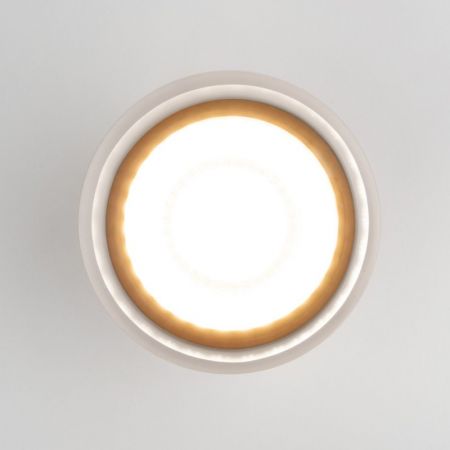 Накладной уличный светильник Elektrostandard Light LED 2107 (35140/H) серый