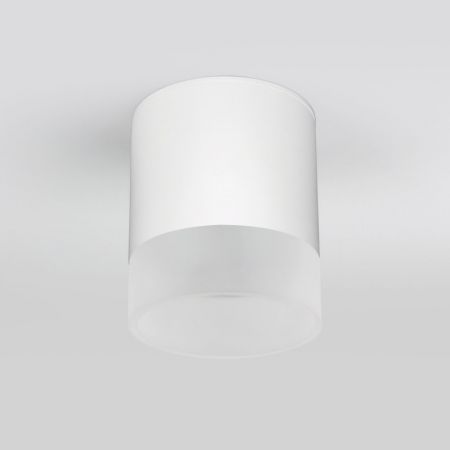 Накладной уличный светильник Elektrostandard Light LED 2107 (35140/H) белый