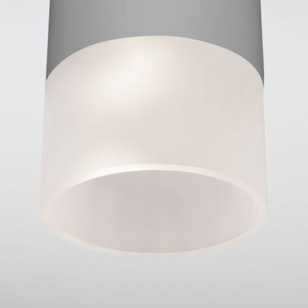 Накладной уличный светильник Elektrostandard Light LED 2106 (35139/H) серый
