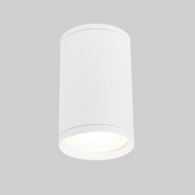 Накладной уличный светильник Elektrostandard Light 2101 (35128/H) белый