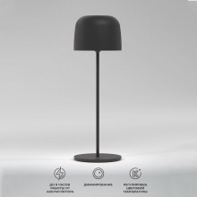 Уличный настольный светильник Elektrostandard Bitty черный (TL70260)
