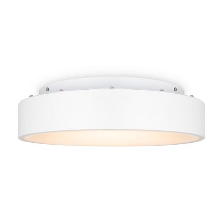 Накладной светильник Freya FR6118CL-L45W