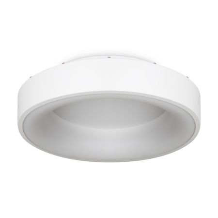 Накладной светильник Freya FR6118CL-L45W