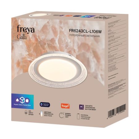 Накладной светильник Freya FR6243CL-L106W