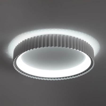 Накладной светильник Freya FR6219CL-L80W