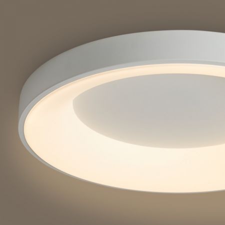 Накладной светильник Freya FR6157CL-L65W