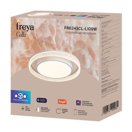 Накладной светильник Freya FR6243CL-L109W