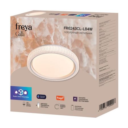Накладной светильник Freya FR6243CL-L84W