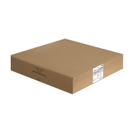 Накладной светильник Freya FR6129CL-L80GR