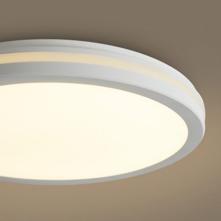 Накладной светильник Freya FR6160CL-L40W