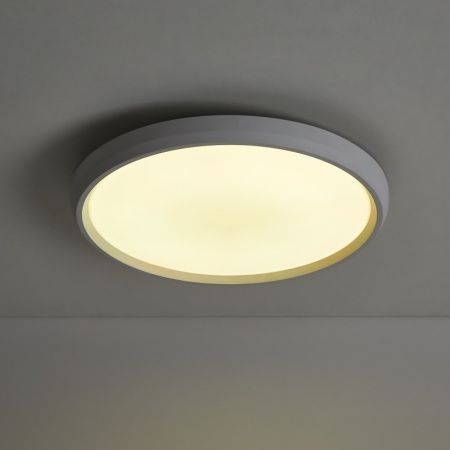 Накладной светильник Freya FR6211CL-L24W