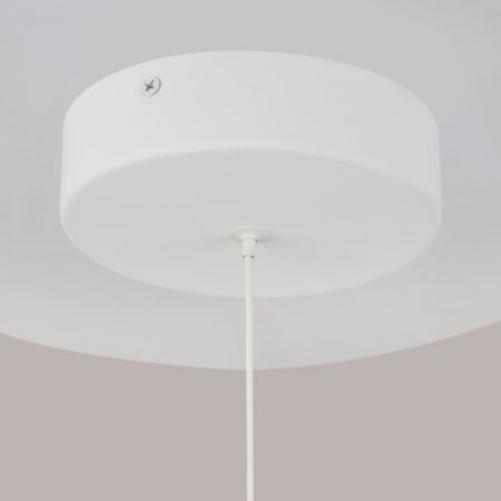 Подвесной светильник Maytoni P021PL-L10W