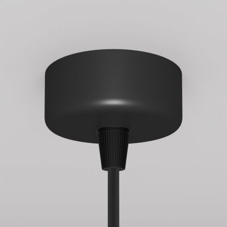 Подвесной светильник Maytoni P038PL-01B